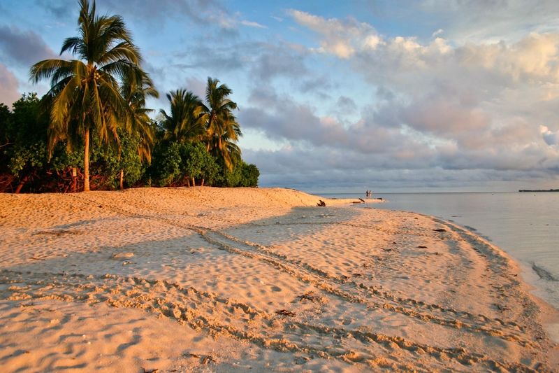 a deerted beach at sunset with palm trees to the left of the photo and turtle tracks up the beach