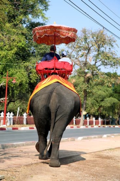 Typical animal tourism seen in Southeast Asia. An elephant being ridden by tourists