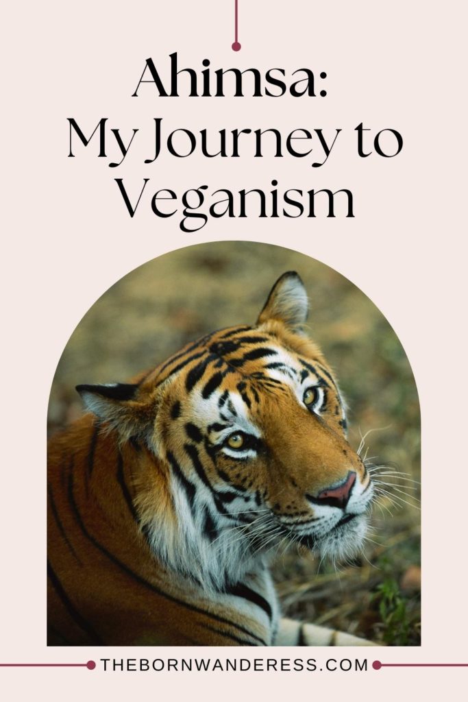 Photo of a tiger. Text above reads "Ahimsa: My Journey to Veganism."