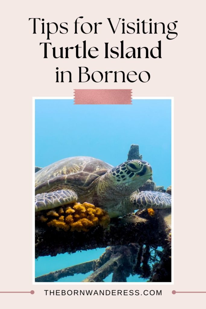 Photo of a turtle swimming underwater in an ocean. Text above the photo reads "Tips for Visiting Turtle Island in Borneo."