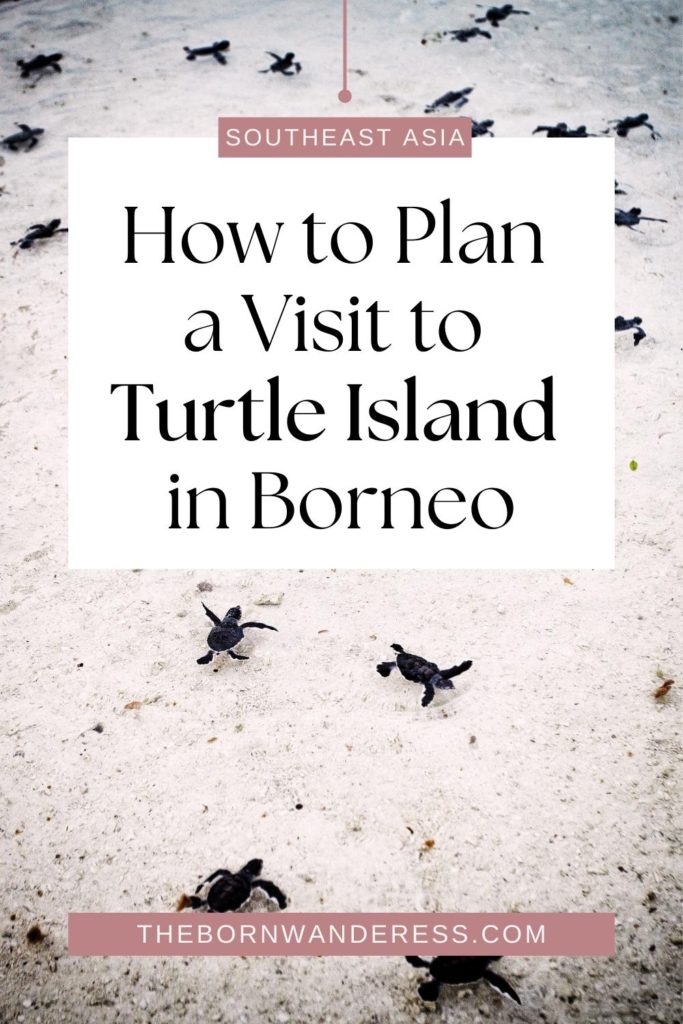 Photo of a sand beach with lots of baby turtles crawling around. Text overlay reads "How to Plan a Visit to Turtle Island in Borneo."