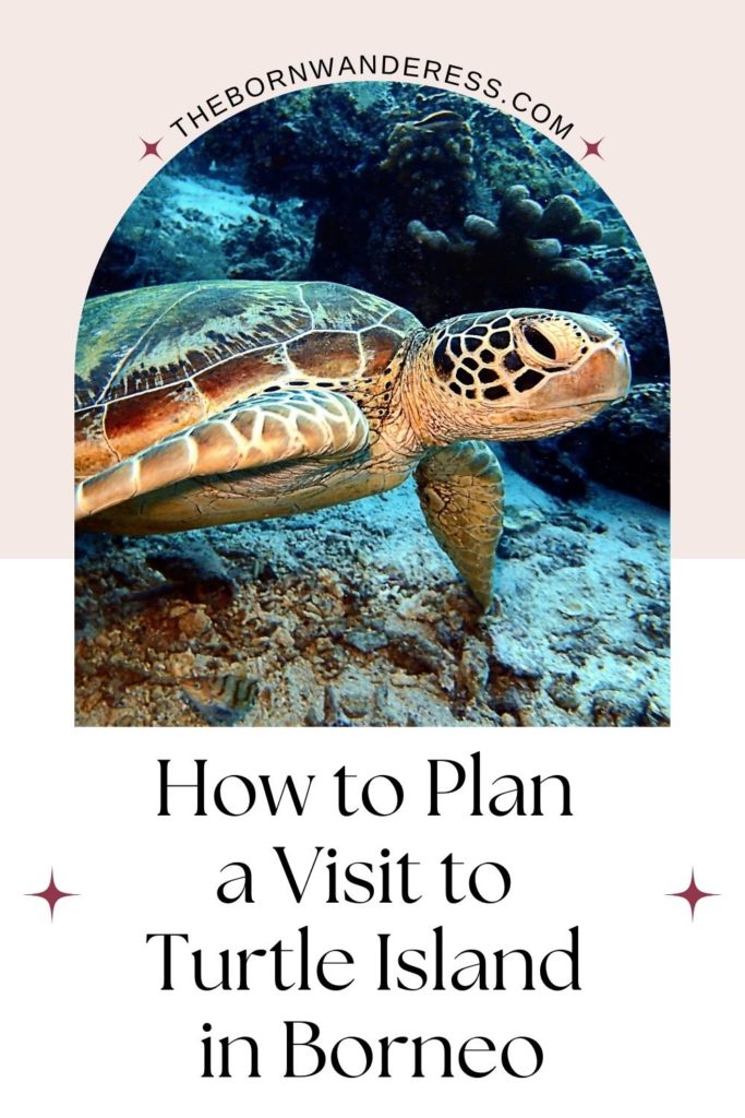 Photo of a turtle swimming underwater in the ocean. Text below reads "How to Plan a Visit to Turtle Island in Borneo."