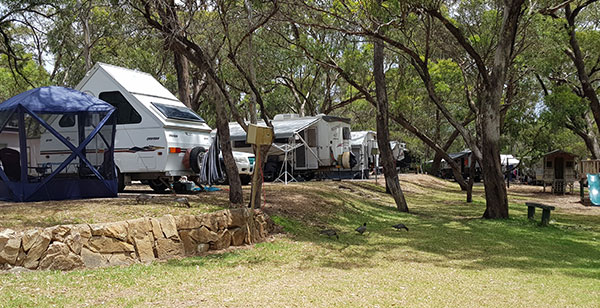 a row of caravans and tents are lined up at campsites under the shade of trees