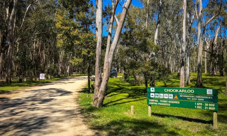 the entrance to Chookarloo campsite in Kuitpo forest. the National Park sign shows the campsite name, fire danger information and other information for campers. the road leads into the park and trees line either side of the road