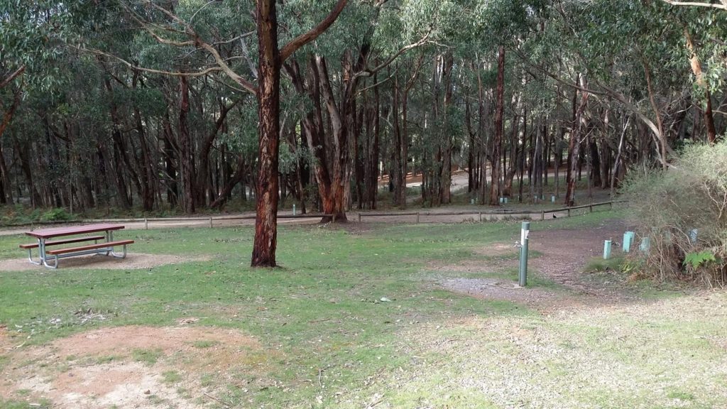 the best campsite in Deep Creek National Park. showing the campsites set under the stringybark trees with a picnic table to the left of the image