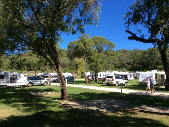 Bremer Bay caravan park. the image show grassy and shaded sites with a number of cars and caravans set up. there is a couple walking through the caravan park which is the perfect location to set up for whale watching in Bremer Bay