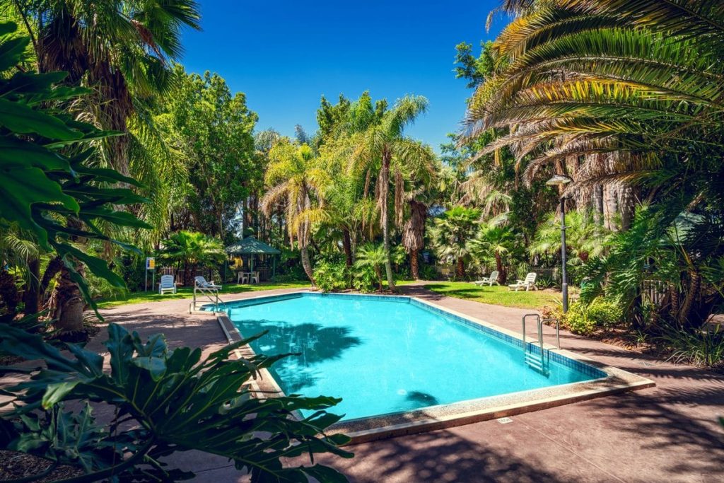 a beautiful blue pool is surrounded by tall lush palm tress and rainforest gardens. there are a few sun loungers around the pool