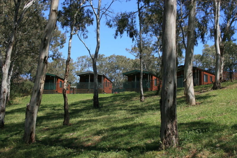 four red and green cabins are seen up a grassy hill surrounded by tall gum trees in Adelaide