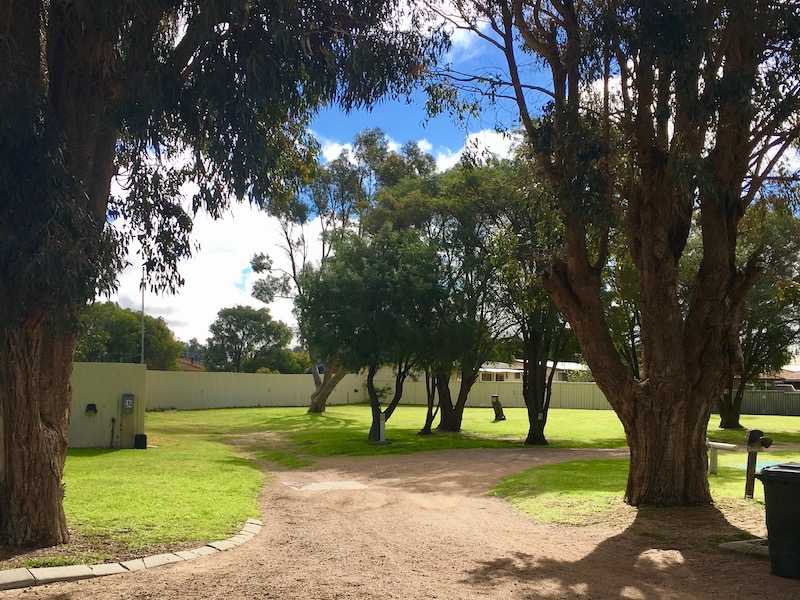 the grassy and shady campsite at the Pink Lake Tourist park. there is a dirt road meandering between the trees and sites