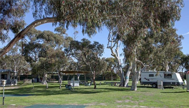 Aldinga Beach caravan park. there is one caravan parked under a leafy gum tree, with a few empty sites, park benches and a bbq area under a pergola