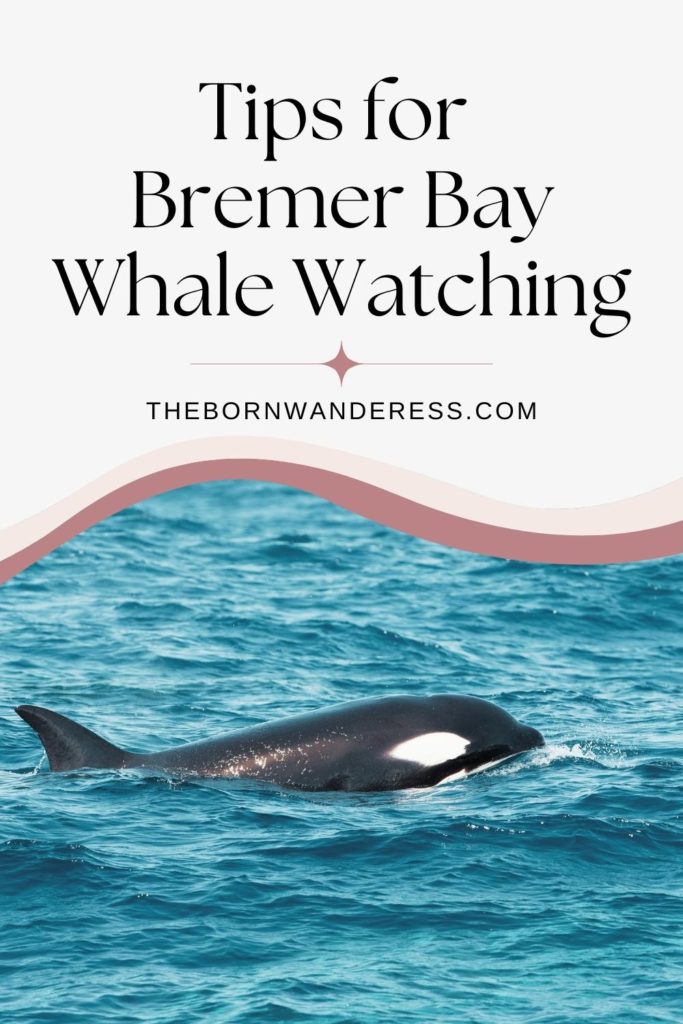 Photo of a killer whale in Bremer Bay, Australia. Text above the photo reads "Tips for Bremer Bay Whale Watching."