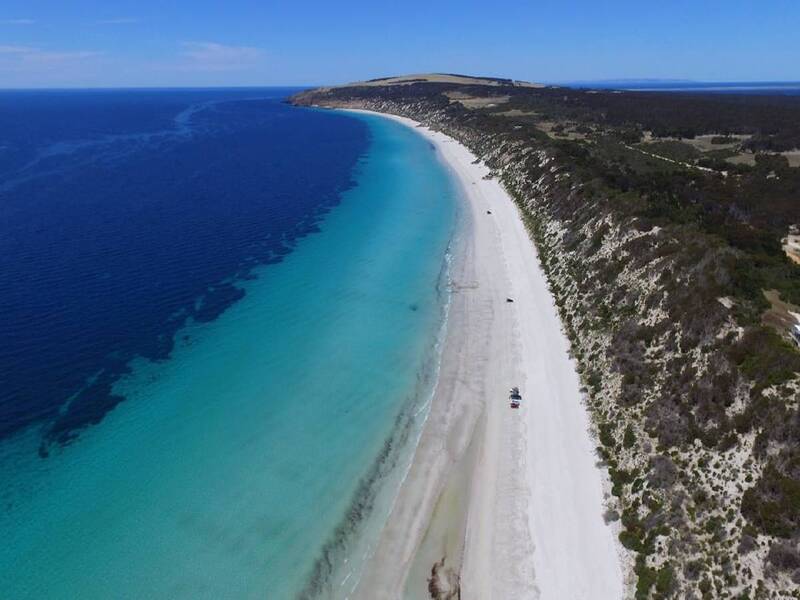 An aerial view of teh sweeping white sandy beach of Emu Bay. the blue ocean is to the left of the image. In the middle is the white sandy beach and one car can be seen driving along the waters edge. to the right of the image is the green bushland of Kangaroo Island