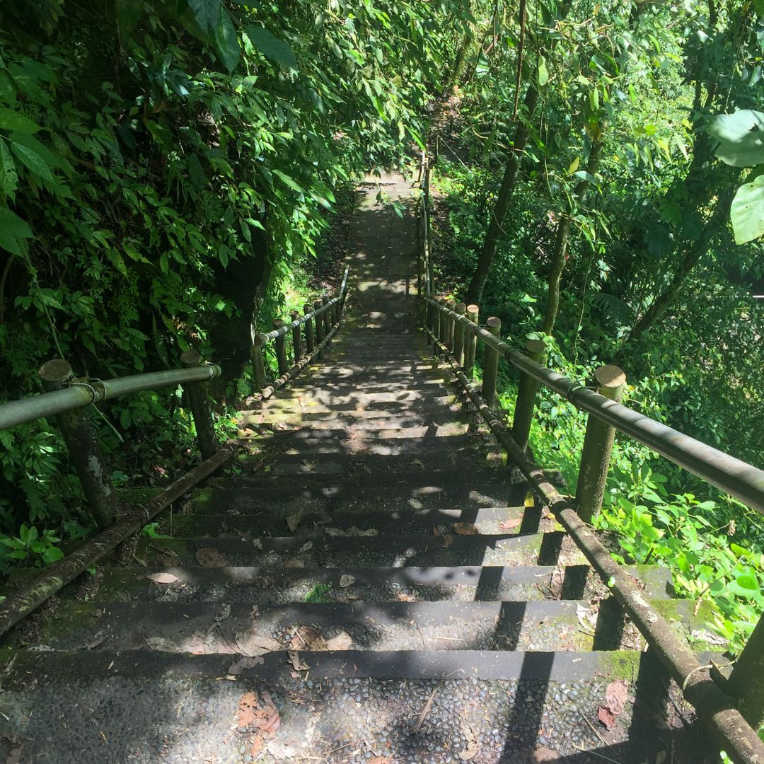 many cement stairs down toward Nungnung Waterfall. The stairs have hand rails on either side and are surrounded by lush green jungle on both sides