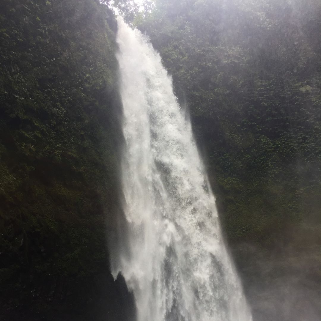 a view of the top of the waterfall as the water crashed over the edge. the bottom of the falls are not visible. Green rainforest can be seen either side of the waterfall