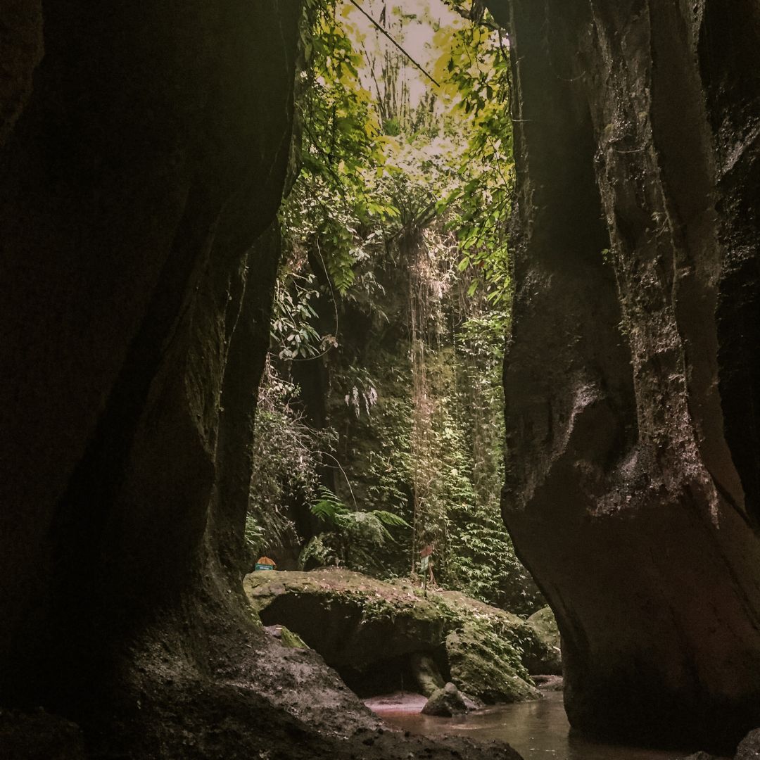 the jungle canyon walkway into Tukad Cepung Waterfall, surrounded by huge tall rock walls on either side. There is a small amount of water on the canyon floor and green jungle falling from the rock wall on both sides of the image and green moss covered rocks in the centre of the image beyond the high walls of the canyon