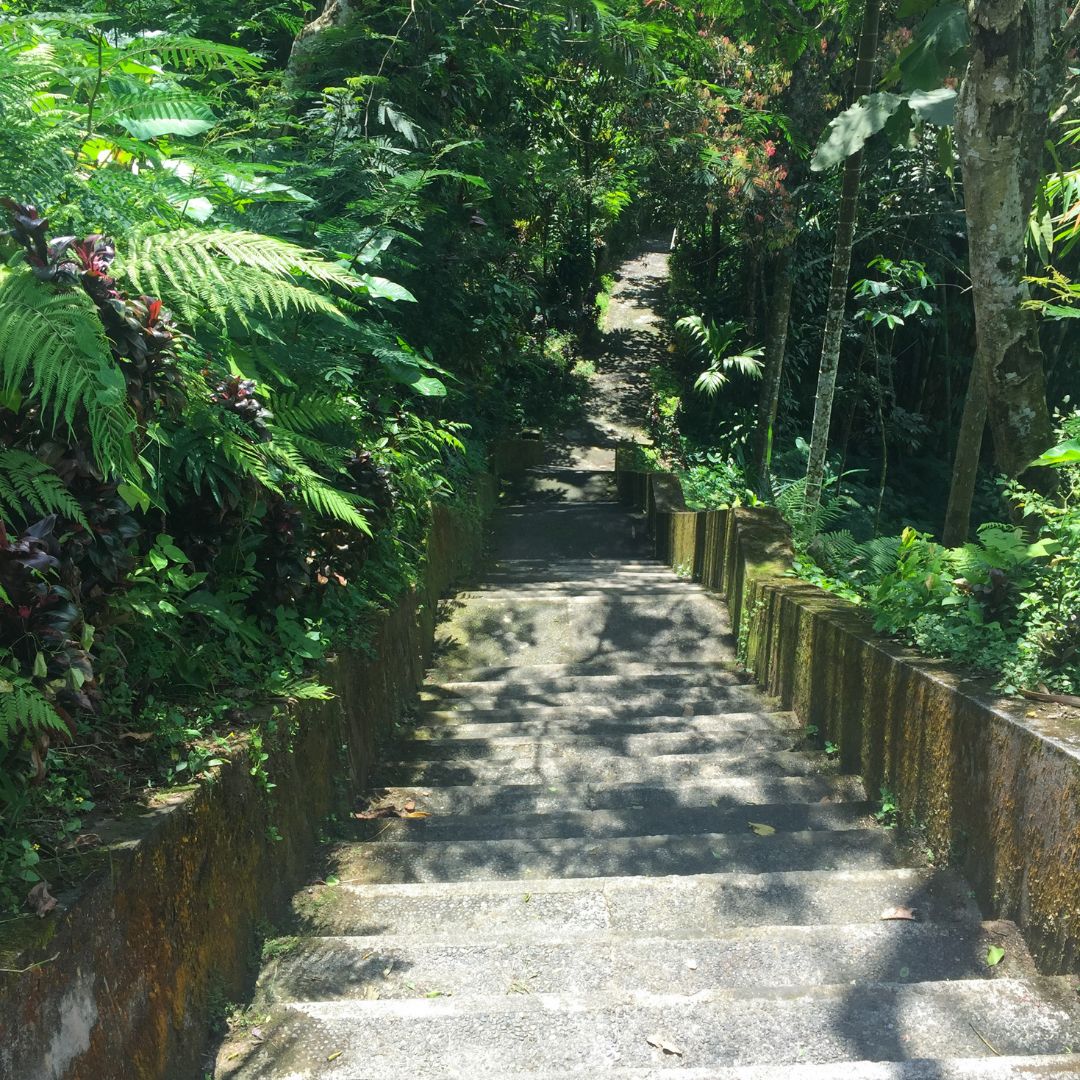 many cement stairs down toward Nungnung Waterfall. The stairs have hand rails on either side and are surrounded by lush green jungle on both sides