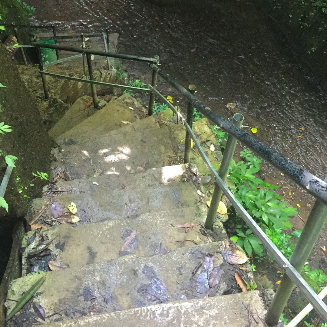 made made stone stairs are in the middle of the image and sweep around to the left and downward into the ankle deep water filled creek. there is a handrail on the right of the stairs and the save rock wall on the left