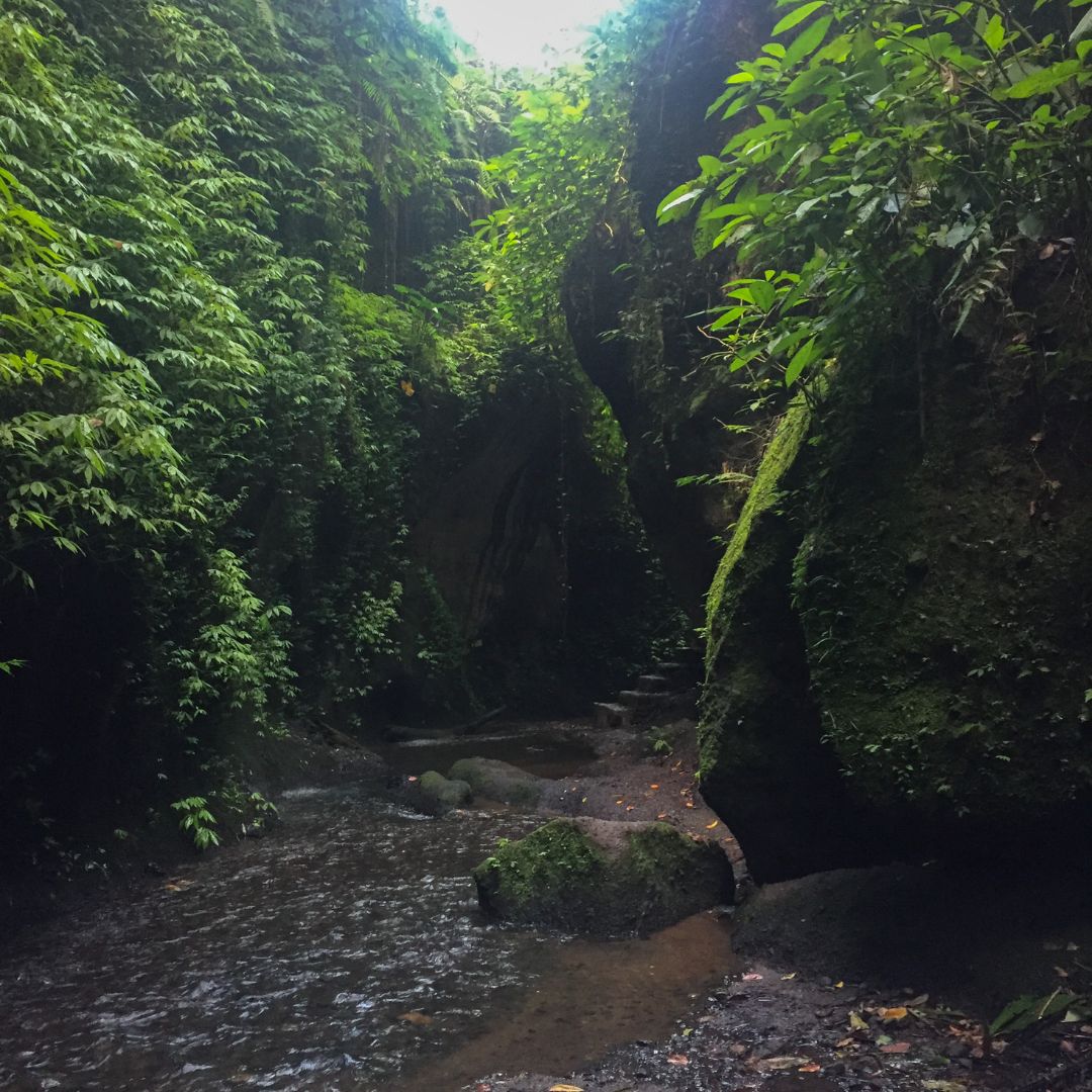 the jungle canyon walkway into Tukad Cepung Waterfall. There is some water on the canyon floor and green jungle falling from the rock wall on both sides of the image 