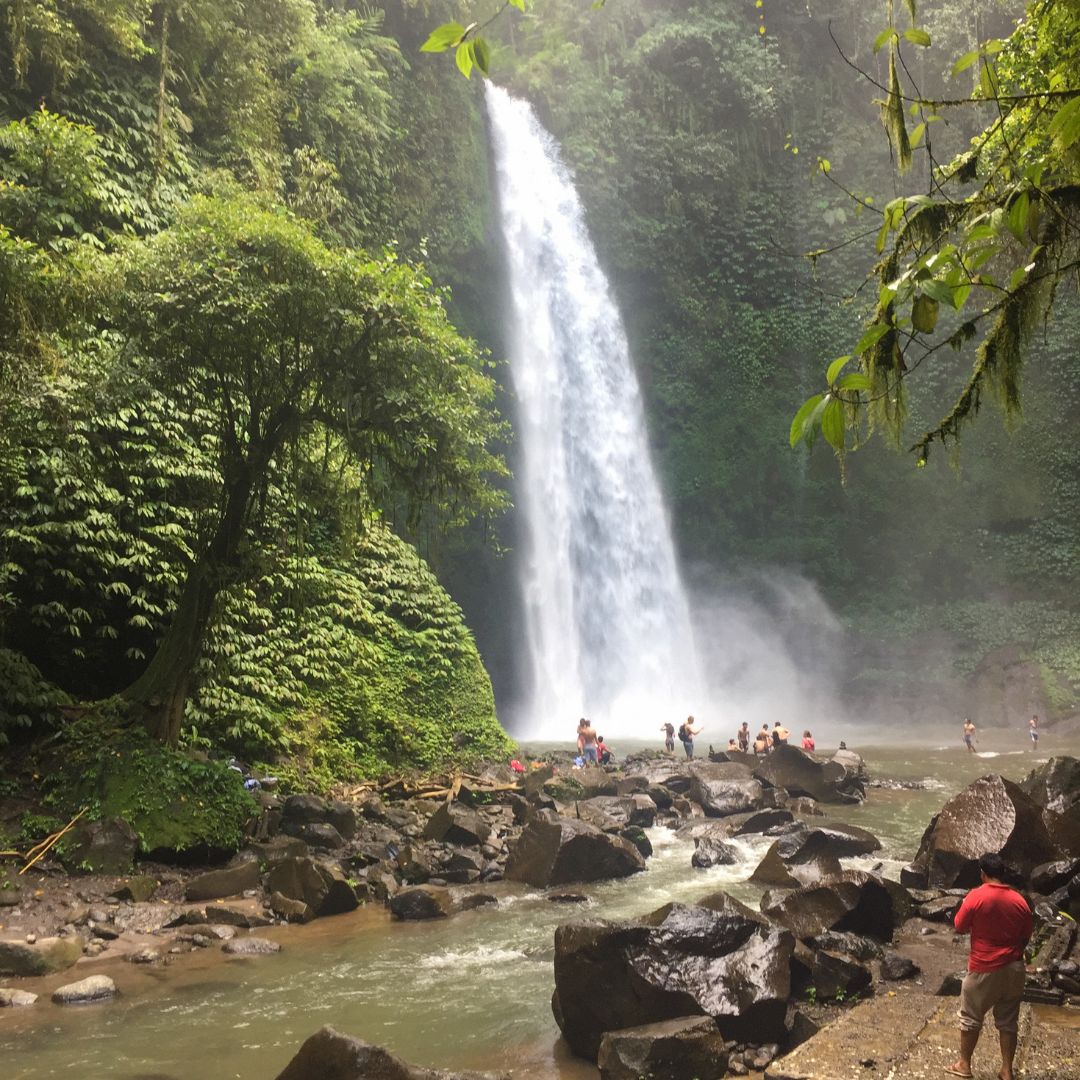 First glimpse of the waterfall from the bottom of the stairs. The waterfall is in the distance, boulders can be seen at the base of the falls and the pool of water flows into a small creek at the front of the image. trees and lush rainforest are visible on all side of the image and people can be seen on boulders at the base of the falls