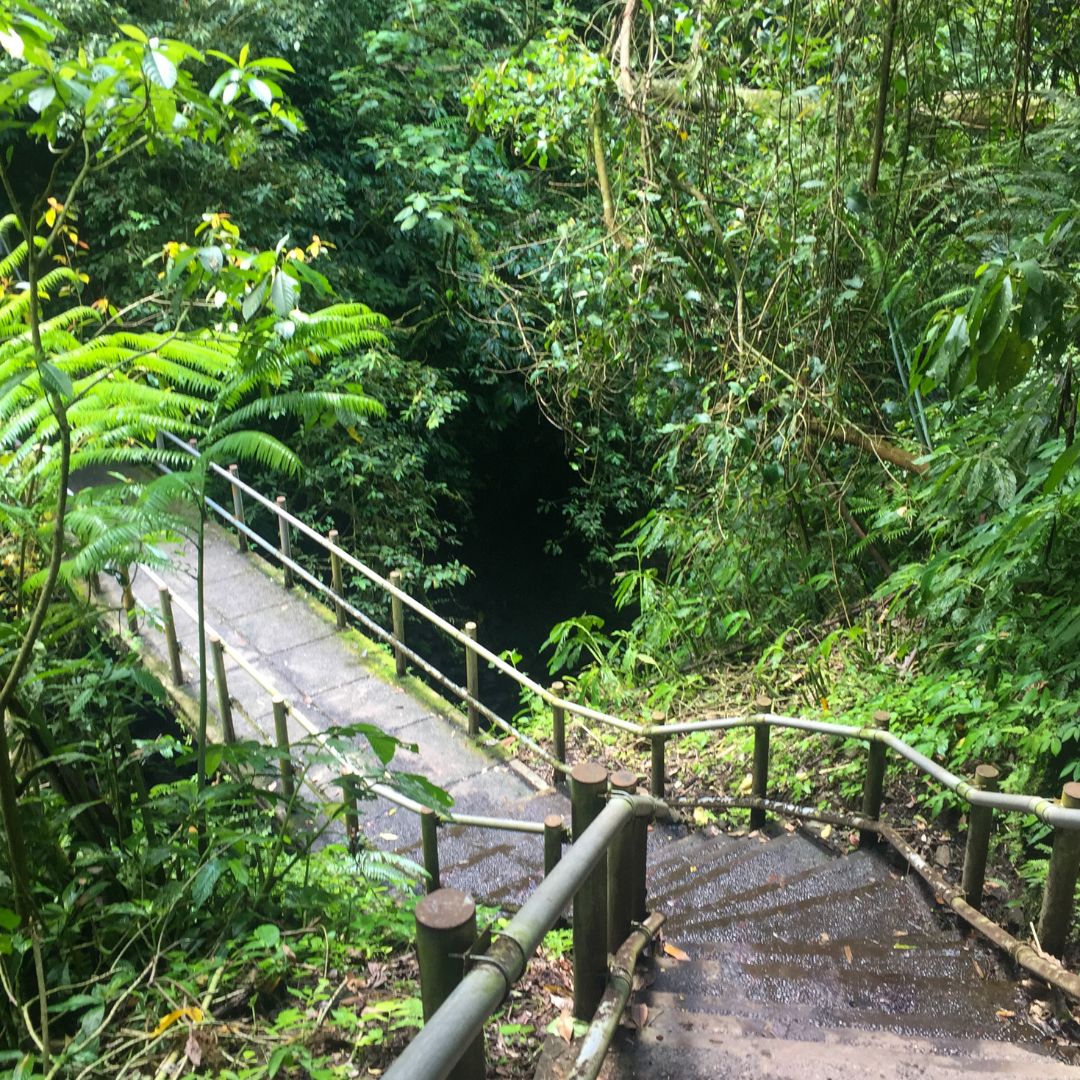 many cement stairs down toward Nungnung Waterfall. The stairs have hand rails on either side and veer to the left of the image over a ravine. The stairs are surrounded by lush green jungle on both sides