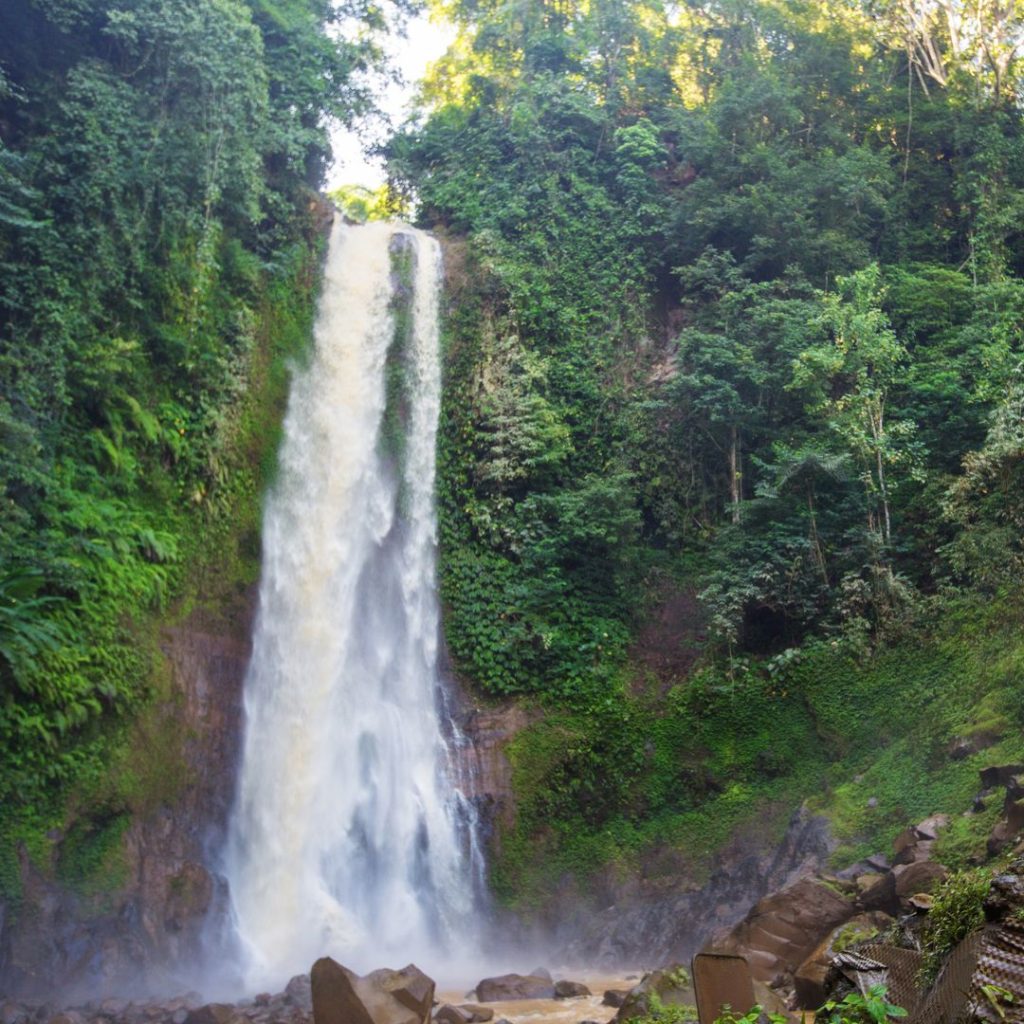 Git Git waterfall in Northern Bali. water crashes over the long dropped edge, surrounded by lush greenjungle